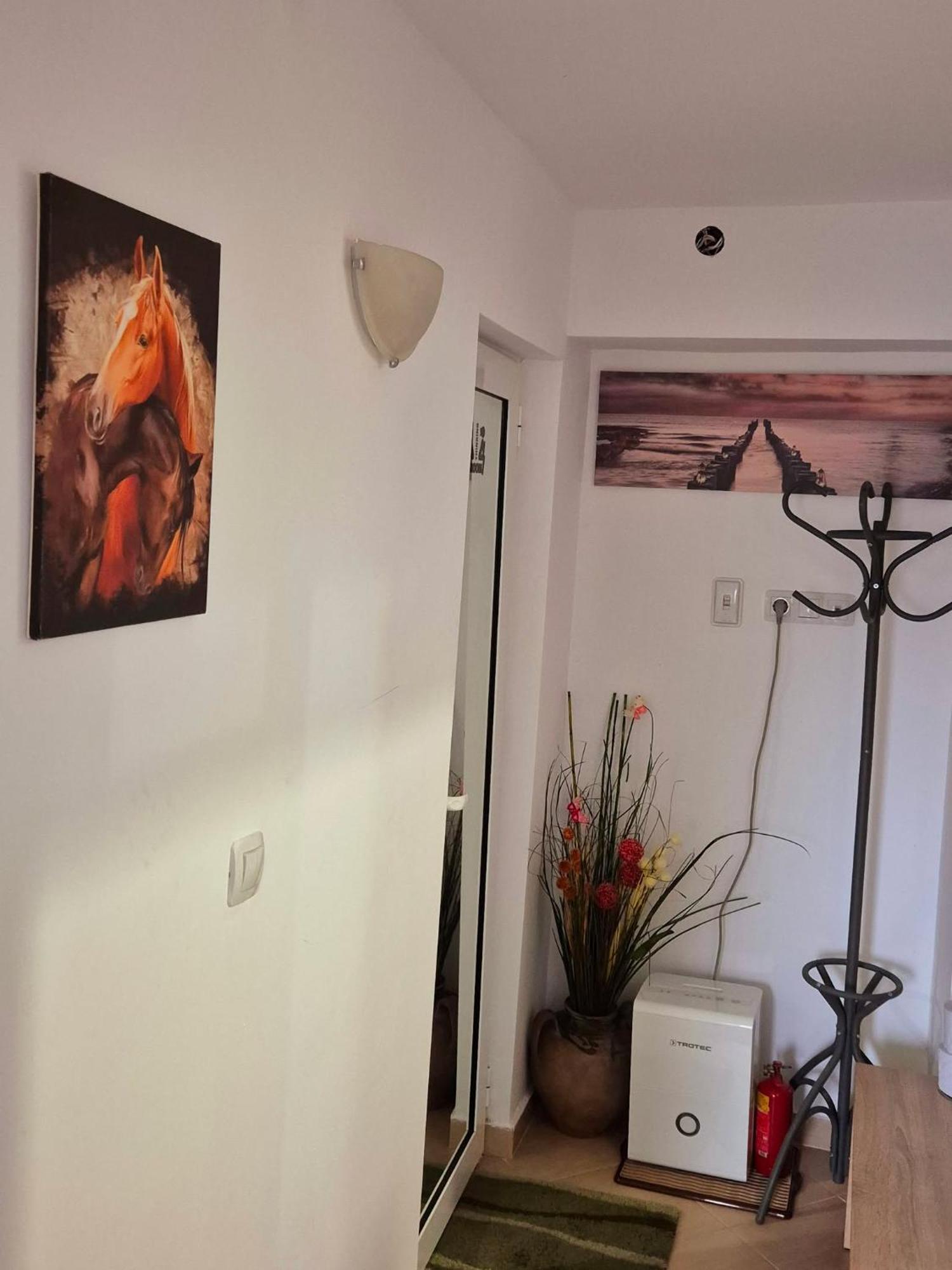 Apartment Shesti Uchastak Gabrowo Zewnętrze zdjęcie